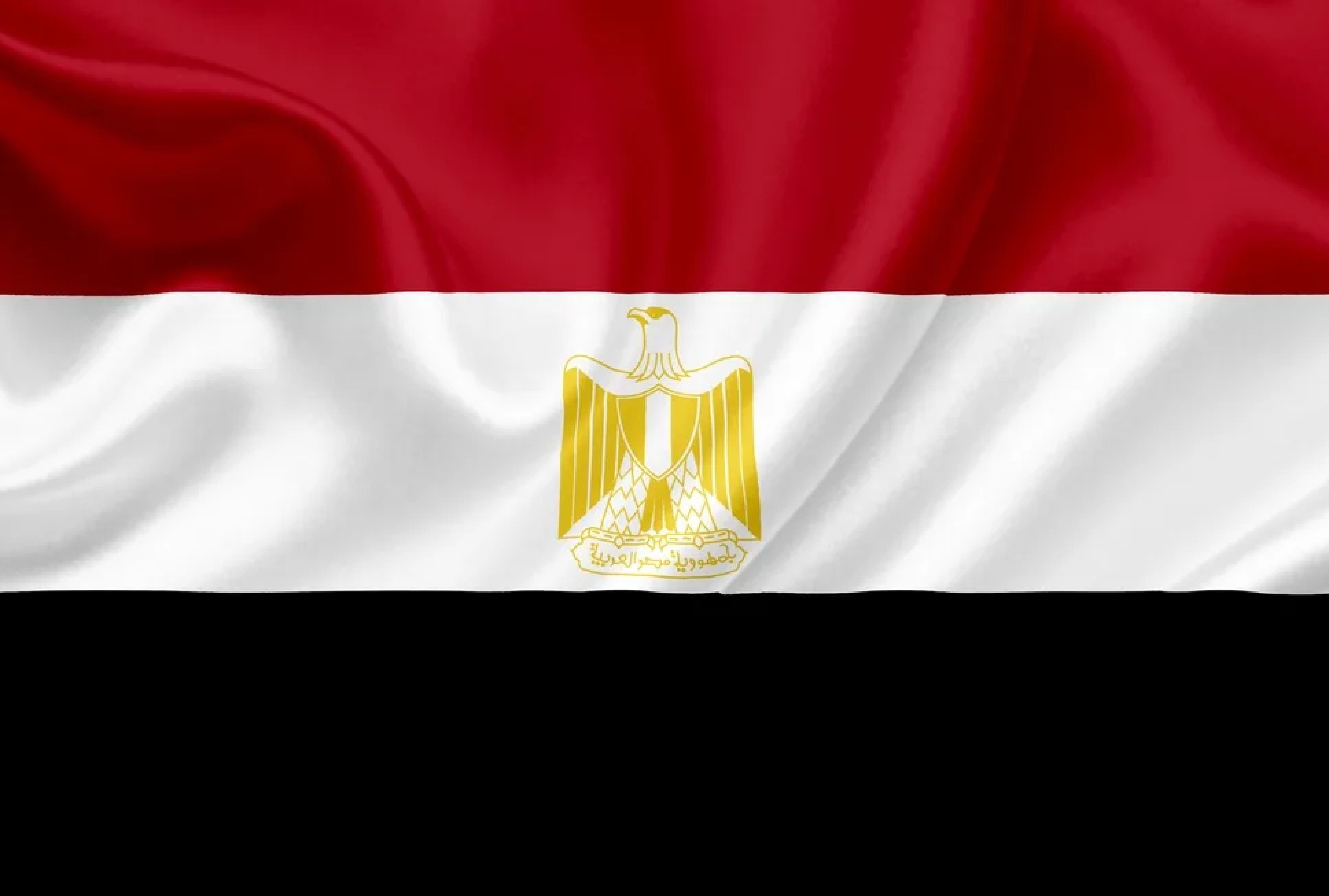 CDO Global в Египте